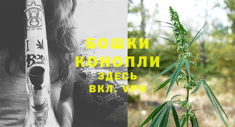 наркотики  Талдом  Бошки Шишки SATIVA & INDICA 